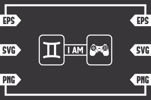 Gemini Sign & Controller: A Designer’s Review